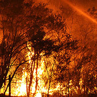Intense flames rip through bushland at night
